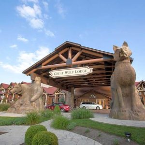 Great Wolf Lodge $250 Gift Card